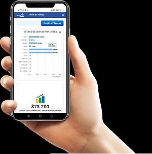 punto de ventas mobile300x303